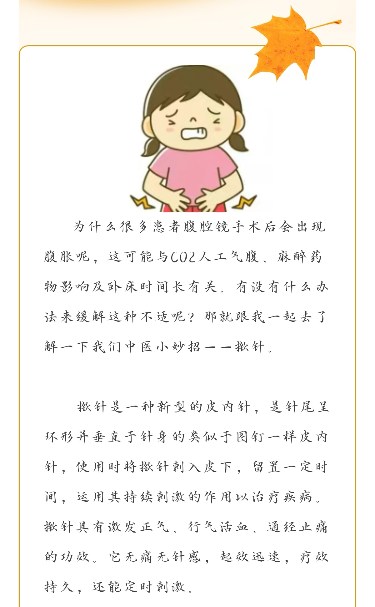 55eb3c1a3c6443169b4e9db605382208.jpg